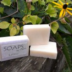 soapsbydawn_lime--148x148 White Tea & Ginger - Handmade Soaps by Dawn
